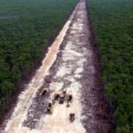 Un juez ordena la suspensión definitiva de las obras del polémico tramo 5 del Tren Maya